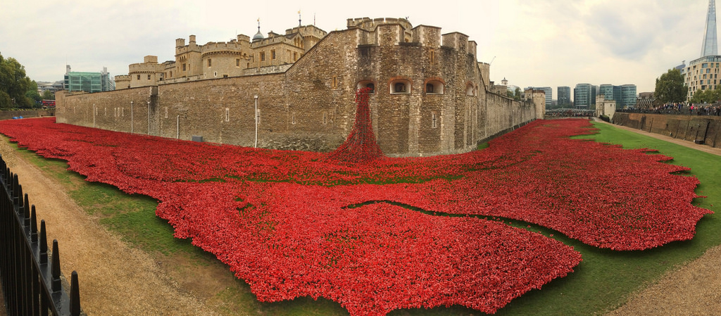 Where Are the Poppies Now – Tales From Those Who Bought Poppies